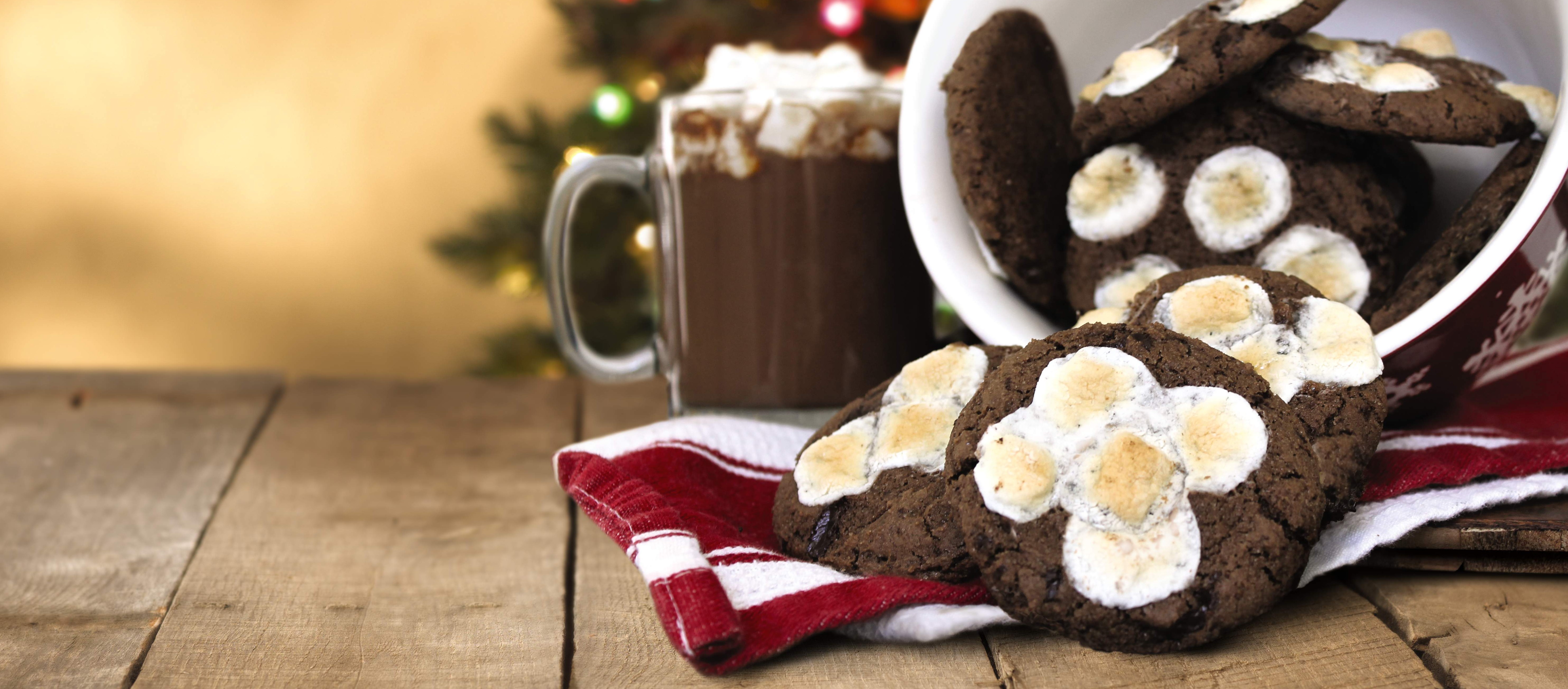 Holiday cookies with hot chocolate